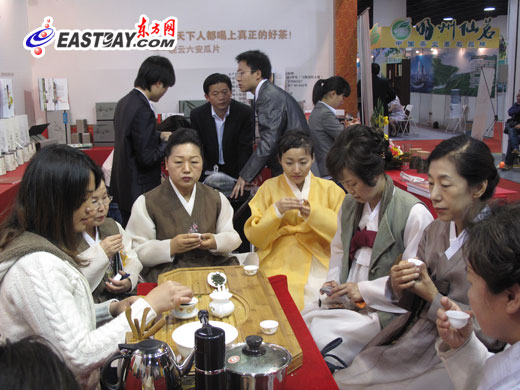 足不出“滬”品天下好茶 2011上海茶博會開幕